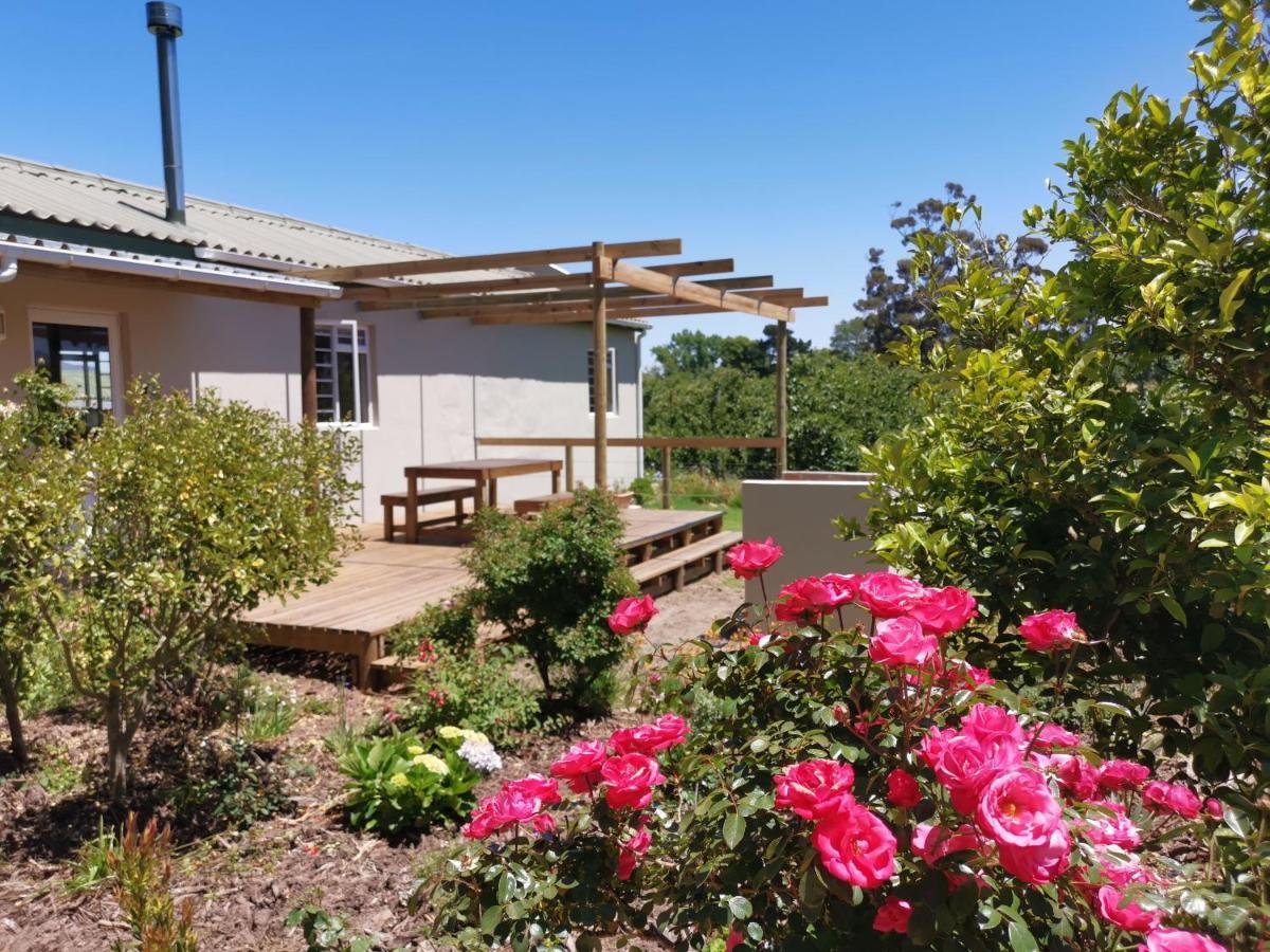 Moortop Cottages Elgin (Western Cape) Exterior foto