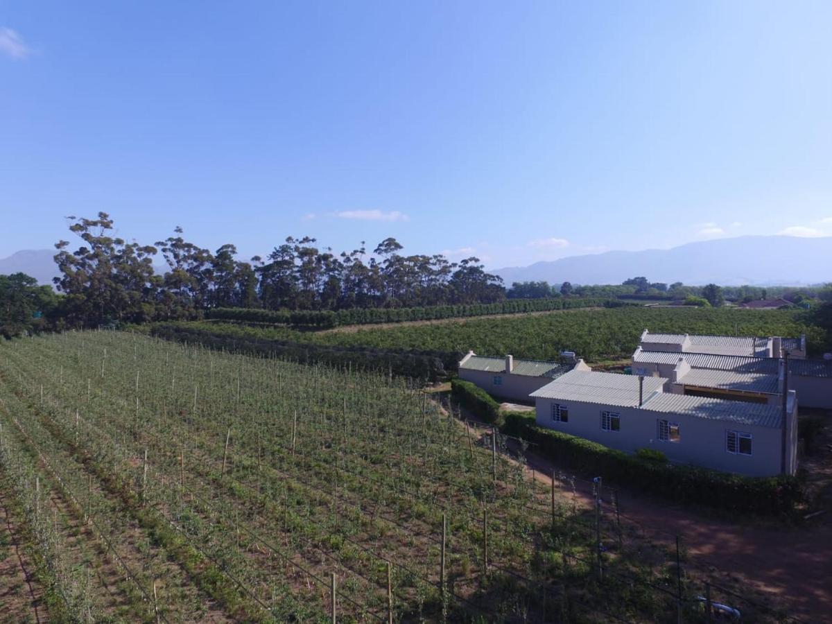Moortop Cottages Elgin (Western Cape) Exterior foto
