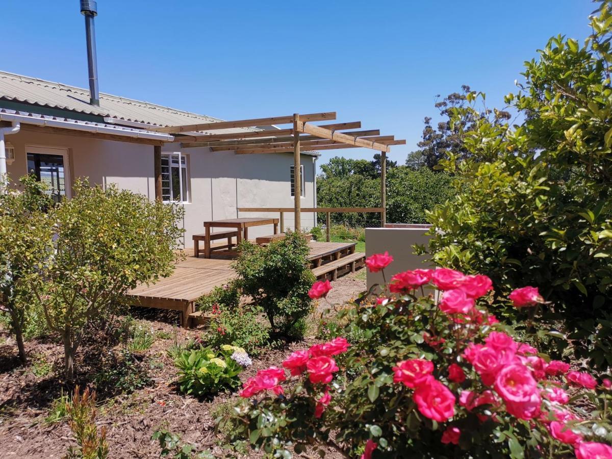 Moortop Cottages Elgin (Western Cape) Exterior foto